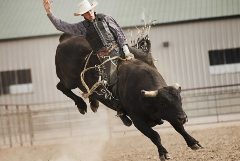 bull riding sports